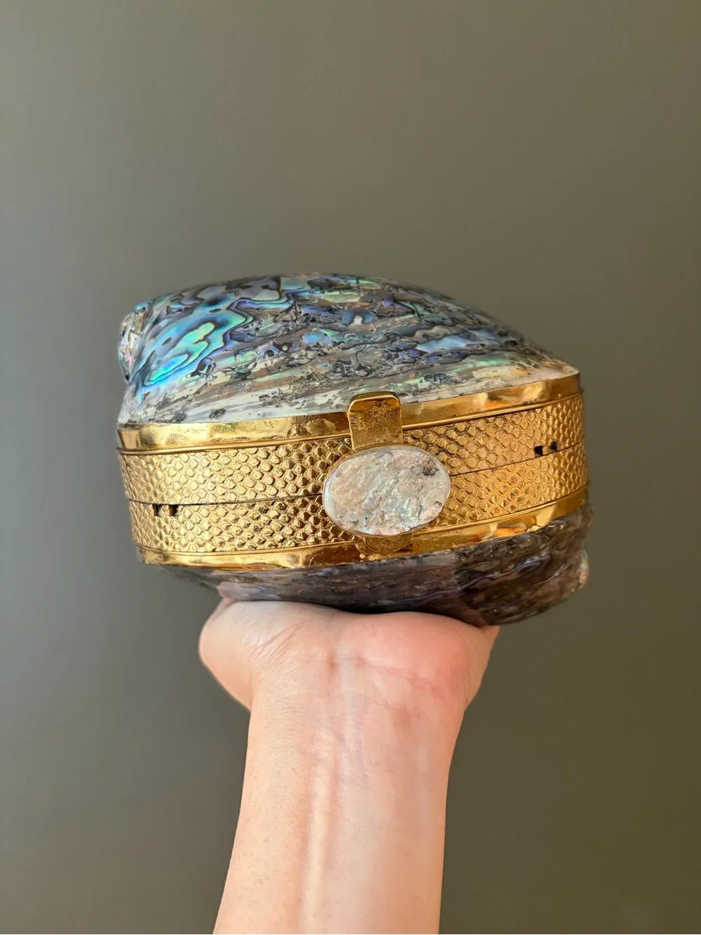 Gold Abalone Shell Minaudière Shoulder Bag